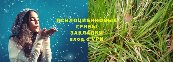 Альфа ПВП Богородск