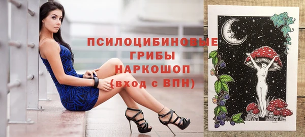шишки Богданович