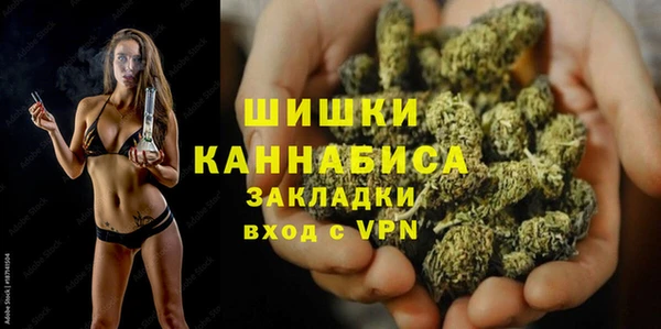 шишки Богданович