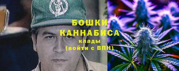 mix Богородицк