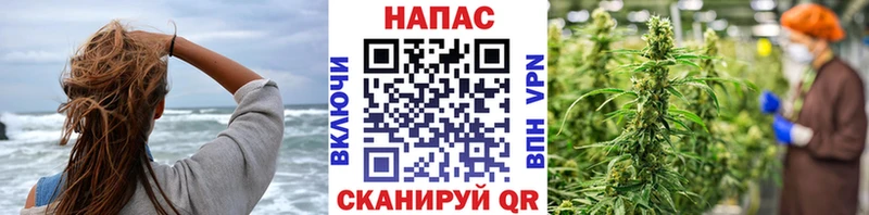 ссылка на мегу ссылка  Нариманов  это состав  Конопля план 